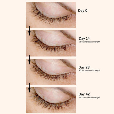 KL Killer Lashes Conditioning Growth Serum, 5ml